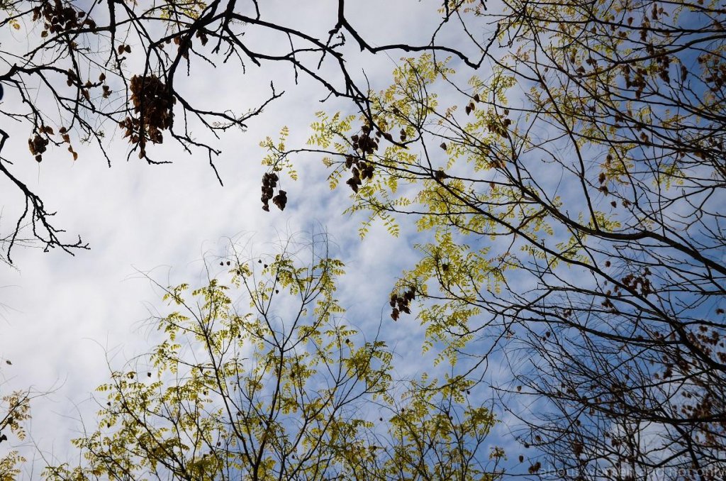 Vreme neașteptată de Paștele ortodox și catolic. Ce temperaturi ne așteaptă