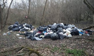 Primăria Jucu avertizează: “Nu se vor tolera deșeurile abandonate în păduri”