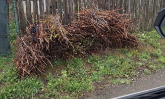 Știi când și unde poți preda deșeurile vegetale în Cluj-Napoca? Scapă GRATUIT de ele