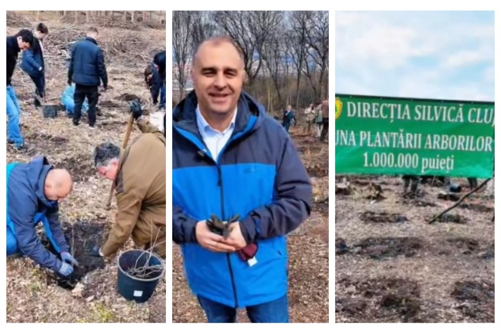 Forță civică pentru natură: mii de puieți plantați la Cluj. Viceprimarul Tarcea: “Extinderea spațiilor verzi, o direcție constantă”