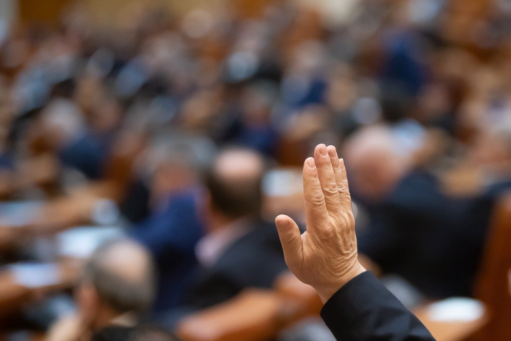 AUR, SOS și POT au depus un proiect de Lege care prevede „legalizarea” acțiunilor fasciste sau legionariste. Șoșoacă și Georgescu ar deveni ”prezidențiabili”