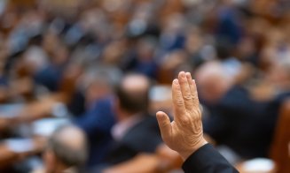 AUR, SOS și POT au depus un proiect de Lege care prevede „legalizarea” acțiunilor fasciste sau legionariste. Șoșoacă și Georgescu ar deveni ”prezidențiabili”