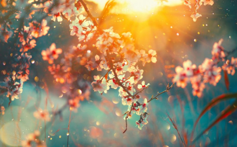 Meteorologii au actualizat prognoza! Cum va fi vremea în minivacanțele de Paști și 1 Mai