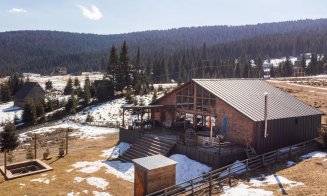Cât costă un chalet modern, cu living cu înălțime dublă vitrată, în inima Munților Apuseni