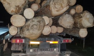 Polițiștii au „măturat” șoselele din Cluj: amenzi record după un control „BLITZ”