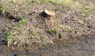 ”Nu ne revenim din chestia asta???” / ”Dar noi, ce facem? Adică mereu altul să ne scoată din cacat?!” / ”Vinovați sunt exact cetățenii”