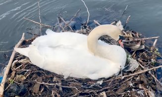 ”Nu ne revenim din chestia asta???” / ”Dar noi, ce facem? Adică mereu altul să ne scoată din cacat?!” / ”Vinovați sunt exact cetățenii”