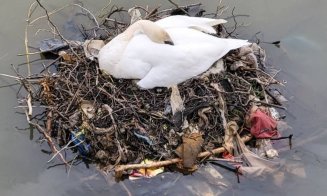 ”Nu ne revenim din chestia asta???” / ”Dar noi, ce facem? Adică mereu altul să ne scoată din cacat?!” / ”Vinovați sunt exact cetățenii”