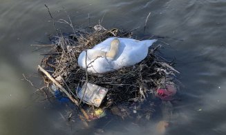 ”Nu ne revenim din chestia asta???” / ”Dar noi, ce facem? Adică mereu altul să ne scoată din cacat?!” / ”Vinovați sunt exact cetățenii”