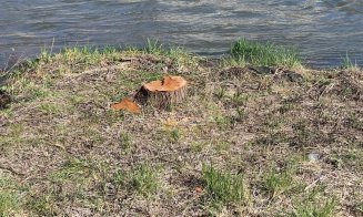 ”Nu ne revenim din chestia asta???” / ”Dar noi, ce facem? Adică mereu altul să ne scoată din cacat?!” / ”Vinovați sunt exact cetățenii”