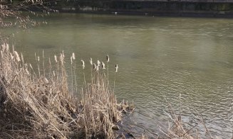 ”Nu ne revenim din chestia asta???” / ”Dar noi, ce facem? Adică mereu altul să ne scoată din cacat?!” / ”Vinovați sunt exact cetățenii”