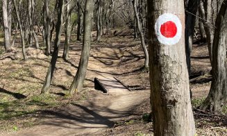 Premieră la Cluj: Traseu turistic pilot cu acces pentru persoane cu deficiențe motorii