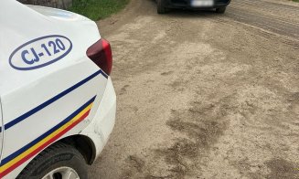 Transport ilegal de lemn, depistat la Cluj. Poliția a dat amendă grea și a confiscat aproape 4 metri cubi