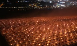 Fermierul din Cluj care a „ars” 40.000 de euro într-o noapte ca să salveze cireșii de îngheț, ATACAT pe net / Adio ”fii mai bun de Paști și de Crăciun