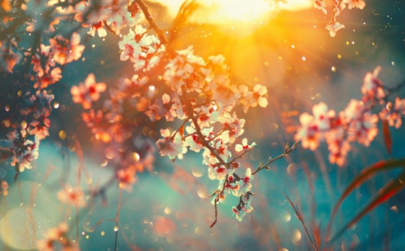 Prognoza meteo pe o lună. Când se încălzește și cum va fi vremea în minivacanța de 1 Mai