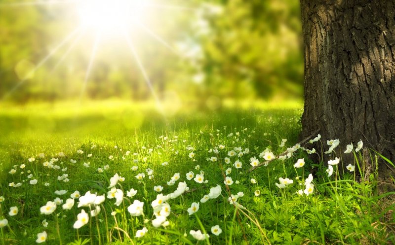 Gata, am scăpat de frig! Temperaturi de până la 20 de grade Celsius. Cum va fi vremea în minivacanța de 1 Mai