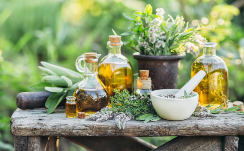 Sănătate din grădină. Plantele de leac românești care te scapă de toxine și oboseală