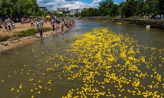 CURSĂ CARITABILĂ. 25.000 de rățuște pe Someș, de 1 Iunie