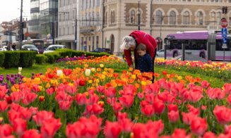 Clujul înflorit. Imagini spectaculoase cu orașul plin de culoare, publicate de primar