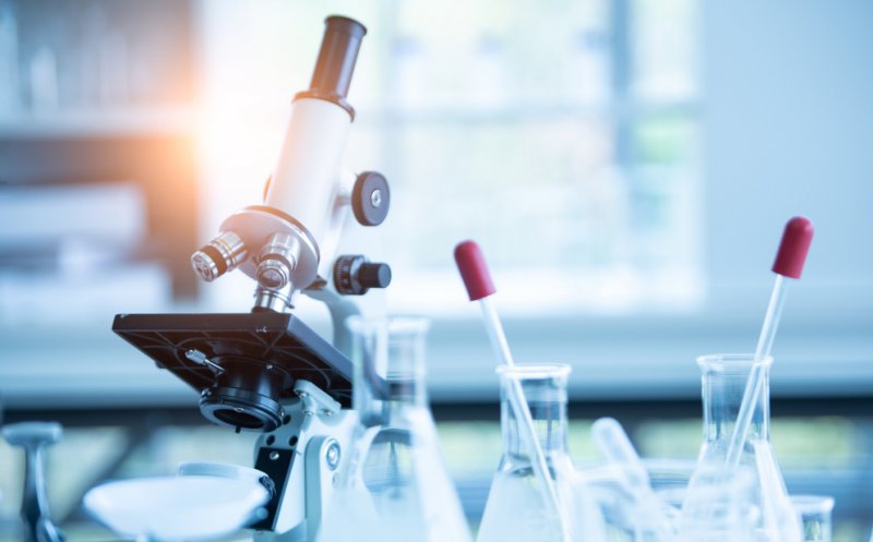 România intră în „liga mare” a cercetării. Daniel David salută aderarea la ELIXIR: „Un pas important. Mă bucur că UBB este parte strategică a acestui demers”