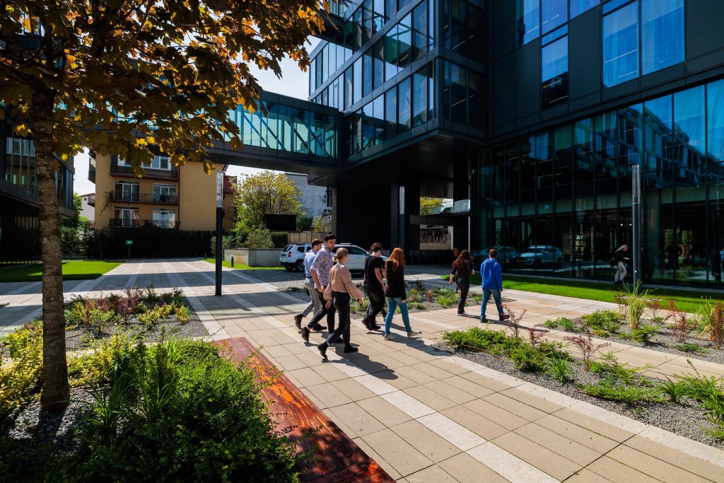 Începutul de carieră în 2026: Câți bani câștigă tinerii cu experiență zero / Mai e IT-ul drumul sigur către salarii mari?