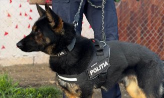 Descinderi și controale în Turda. Peste 500 de persoane verificate / Ce ilegalități au ieșit la iveală