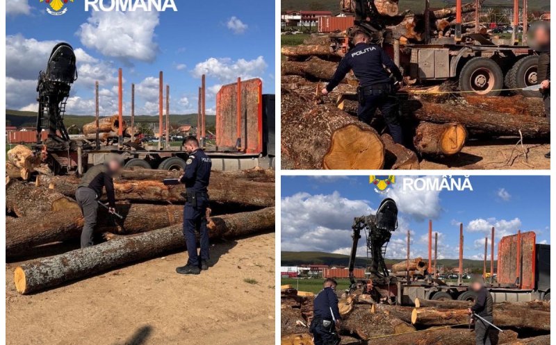 Transport ilegal de lemn depistat în Cluj: amendă de 5.000 de lei și marfă confiscată