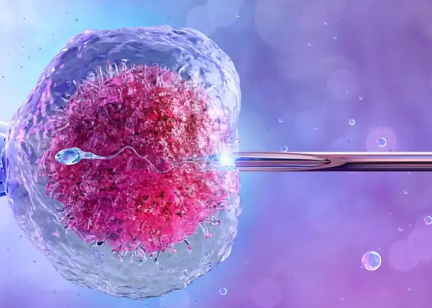 Programul FIV merge mai departe: 15.000 de lei pentru fertilizare in vitro și în 2026