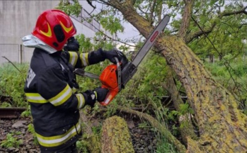 Rafale puternice în Cluj: arbore în pericol de cădere și incendiu de vegetație alimentat de vânt