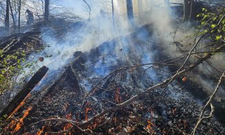 Incendiu de vegetație la Mărișel, Cluj: Pompierii intervin pe versanți în condiții dificile. Flăcările au mistuit peste 5 hectare