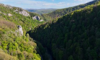 Calea ferată Cluj-Napoca - Oradea: Se poate intra în teren pe defileul dintre Vadu Crișului și Poieni / “După o îndelungă poticneală birocratică”