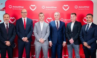 Mișcare surpriză pe piața aeriană: BT Asset Management intră în acționariatul AnimaWings