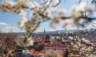 TOP evenimente la Cluj, sâmbătă, 2 mai: ce nu trebuie să ratezi