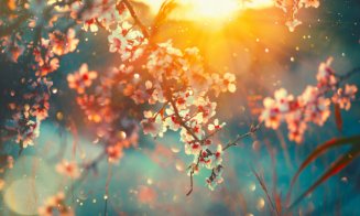 Vremea schimbă brusc foaia! De la temperaturi ca de iarnă, la zile ca în miez de vară