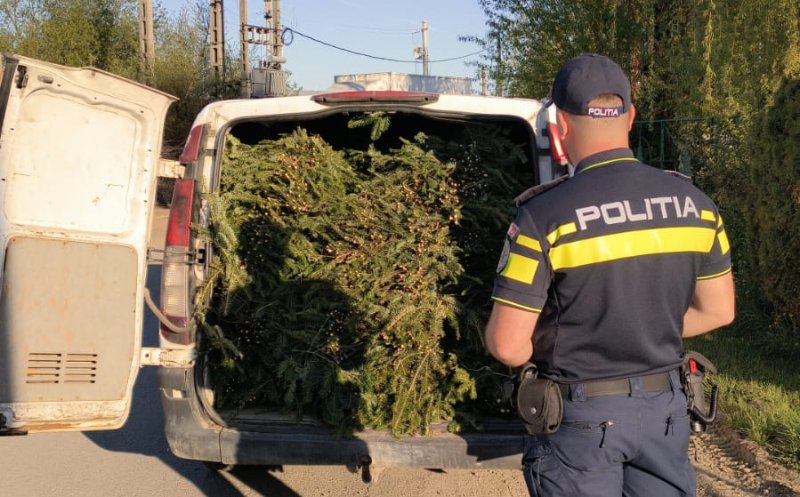 Prins cu bradul în mașina în minivacanța de 1 Mai! Surpriza polițiștilor când au tras o dubă pe dreapta