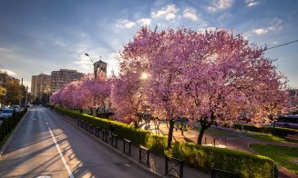 29 de grade Celsius, maxima de miercuri în Transilvania