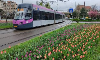 Program special de transport în Cluj: Mai multe autobuze și curse prelungite pentru derby-urile weekendului