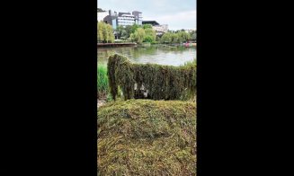 S-a curățat lacul din Gheorgheni
