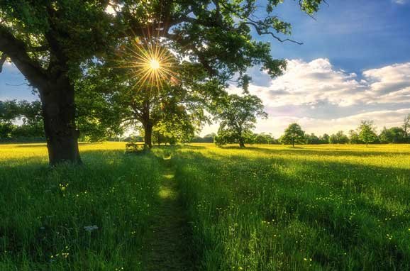 Vești noi de la meteorologi. Cum va fi vremea în minivacanța de Rusalii și de Ziua Copilului