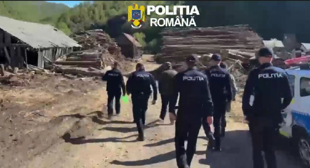 Controale la un depozit de lemne din Cluj: diferențe uriașe între stocul scriptic și cel real