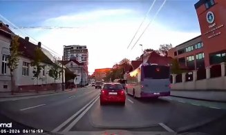 Scene incredibile în Cluj! Un pui de căprioară a fost surprins alergând printre mașini pe Calea Mănăștur