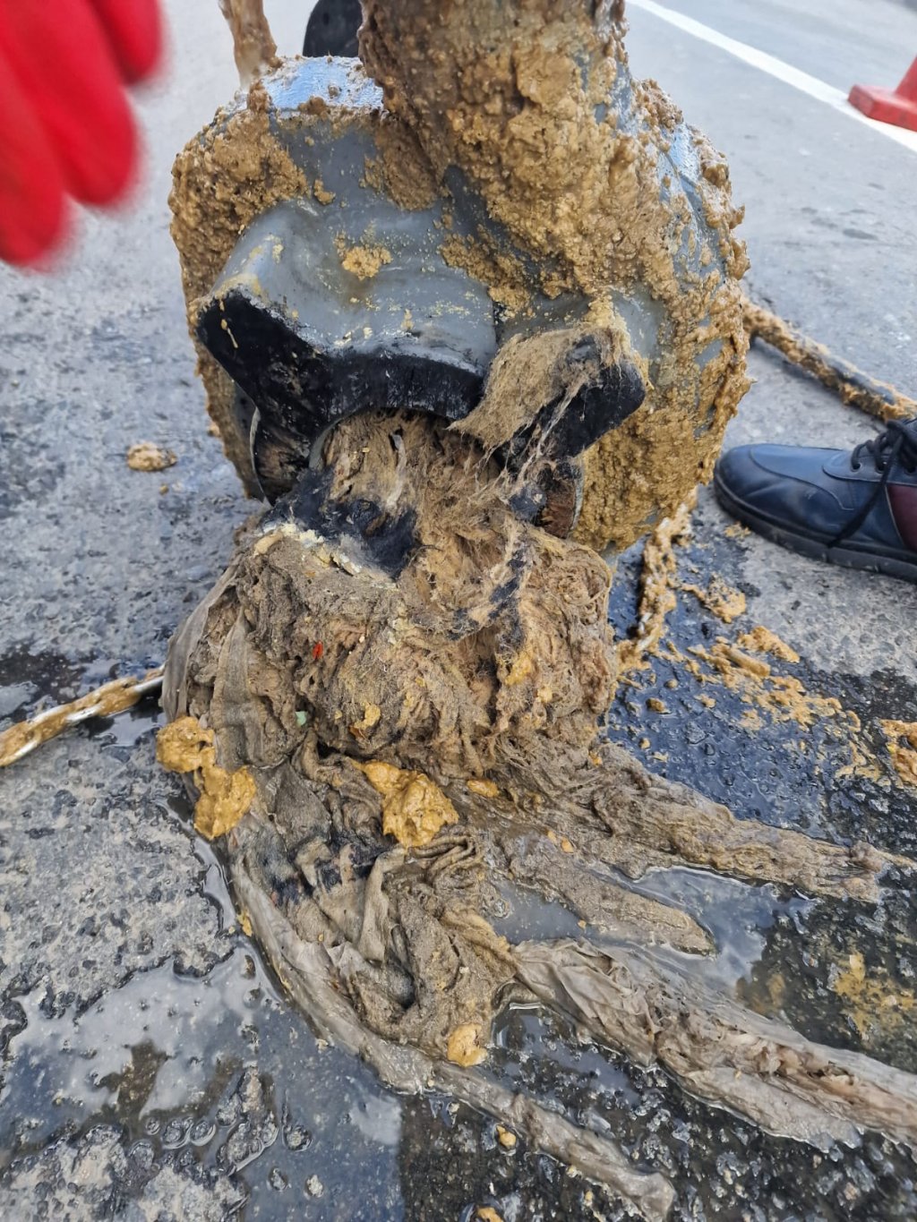 AȘA NU! Unii clujeni nu au aflat încă faptul că toaleta și chiuveta NU sunt tomberoane