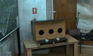 Cluj-Napoca: căsuțe pentru pisicile fără stăpân