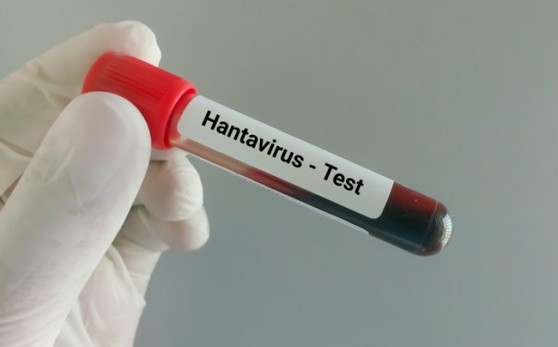 Suspiciune de hantavirus la Arad/ Pacientul s-a transferat de la un spital din Bihor