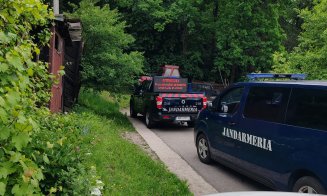 Forțe impresionante mobilizate la Dezmir. Ursul care a băgat spaima în localnici este căutat de zeci de jandarmi și polițiști