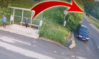 Sute de URȘI prezenți pe teritoriul județului Cluj / Alungare, tranchilizare și relocare sau extragere prin împușcare?