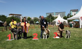 Evenimentul finalului de săptămână pentru iubitorii de animale. La Cluj are loc Napoca Dog Show