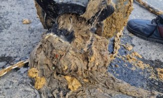 „WC-ul nu este groapă de gunoi”. Directorul Companiei de Apă Someș, mesaj pentru clujeni: „Nu poți să scoți aceleași mizerii zi de zi”