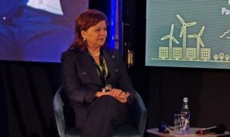 TGEF 2026 | Rețelele de distribuție, esențiale pentru tranziția verde. Mihaela Suciu, DEER: „Fără investiții, energia produsă nu poate fi preluată”