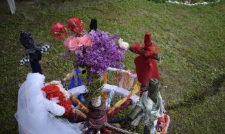 ”Înstruțatul boului” în statele din Transilvania de Rusalii, o reminiscență a unor credințe străvechi